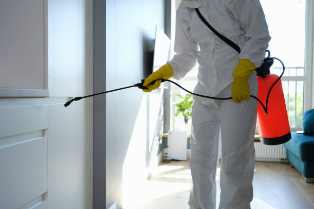 Best Commercial Mold Remediation in Lake Andes, SD
